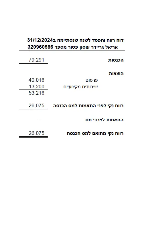 דוח רואה חשבון